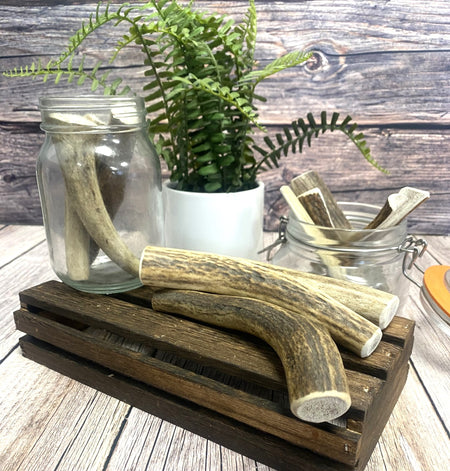 Split Antler Dog Chews Medium (Weight 38-74g)