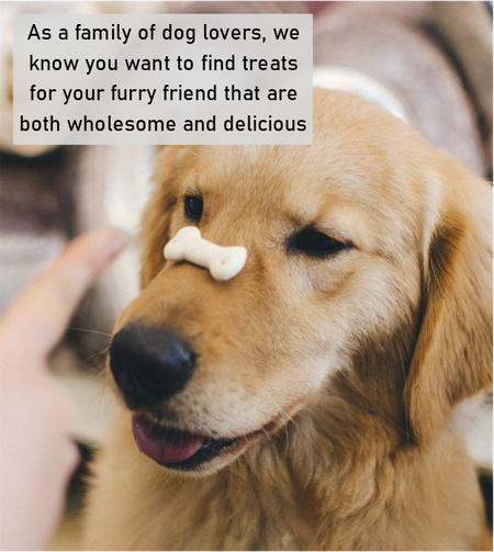 Charcoal Bones Biscuits for Dogs