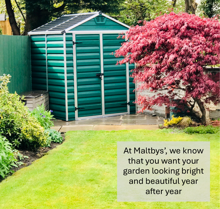 Shady Area Lawn Seed (HM5)