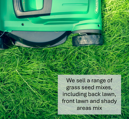 Front Lawn Grass Seed (HM2)