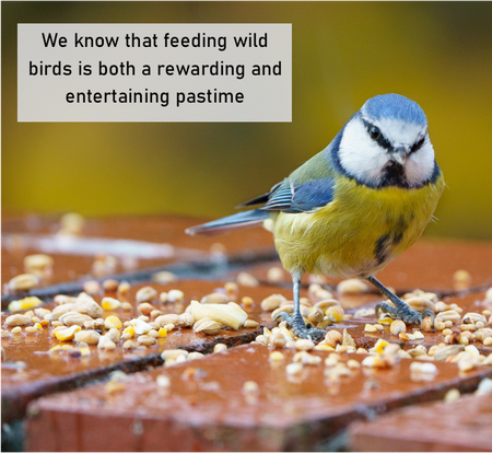 No Grow No Waste Premium Wild Bird Food