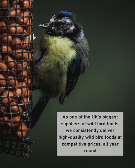 No Grow No Waste Premium Wild Bird Food