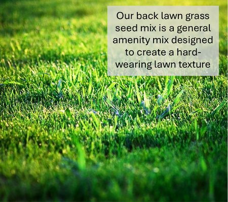 Backlawn Hardwearing Lawn Seed (HM4)