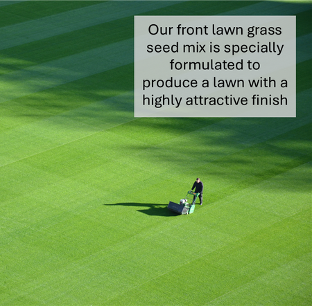 Front Lawn Grass Seed (HM2)