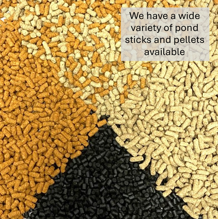 Natural Pond Sticks
