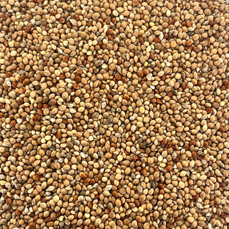 Mixed Millets Finch Seed