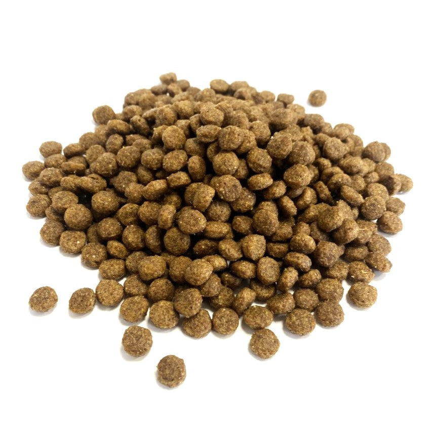 Hedgehog dog food best sale