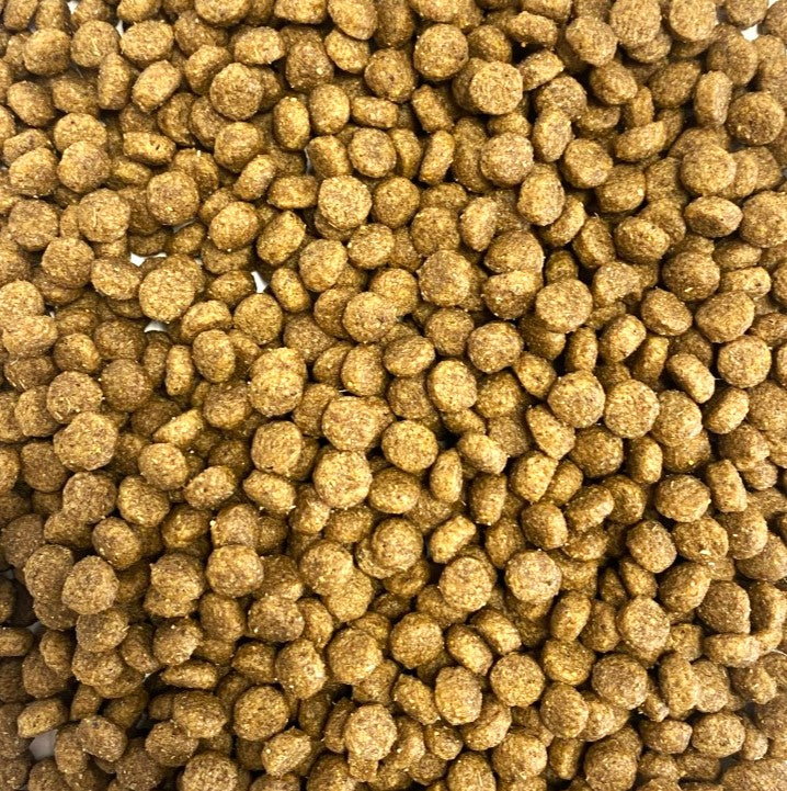 Royal Canin Shih Tzu Adult – Spezialfutter Für Ausgewachsene Shih Tzus, 1,5 Kg | Fördert Haut-, Fell- & Zahngesundheit