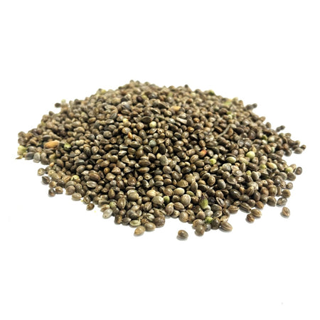 Hemp seed