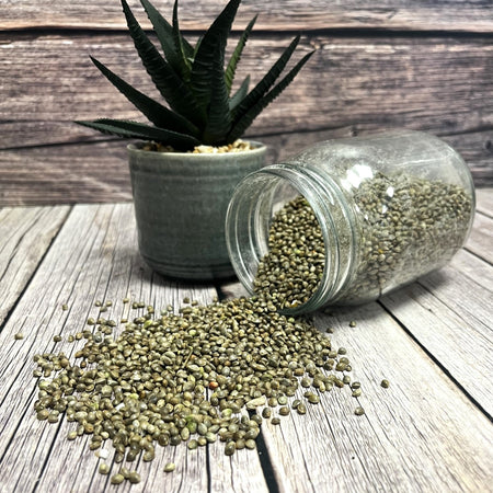 Hemp seed