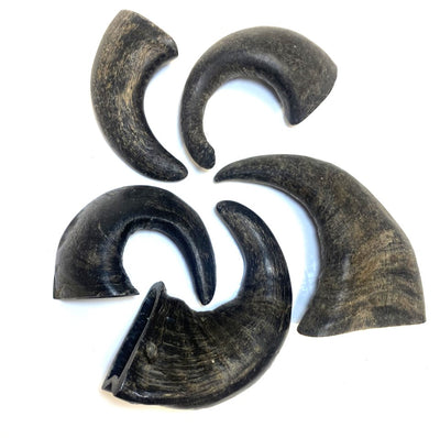 Small Buffalo Horns