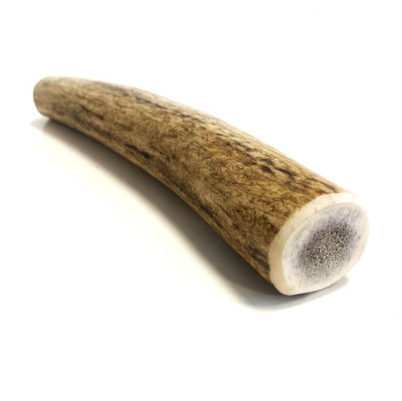 Antler Dog Chew Large (Weight 150 - 224g)