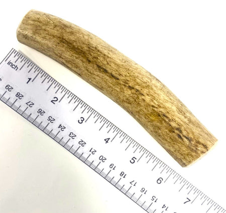 Antler Dog Chew Large (Weight 150 - 224g)