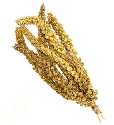 Millet Sprays