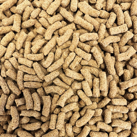 Natural Pond Sticks