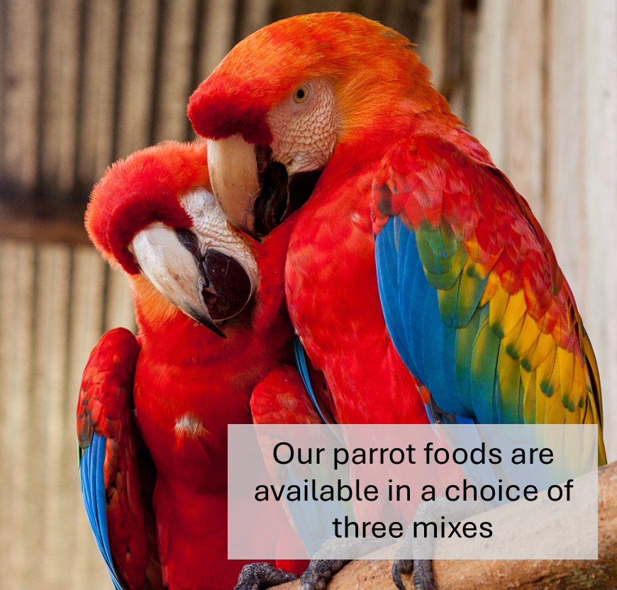 Johnson and Jeffs Premium Fruity Parrot Food sold by Maltbys Stores Eat.1904 Ltd Maltbys Stores