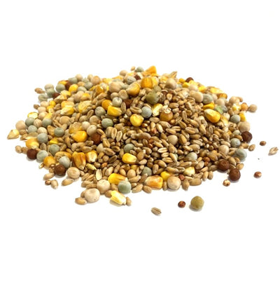 Mixed Pigeon Corn