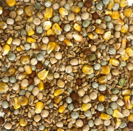 Mixed Pigeon Corn