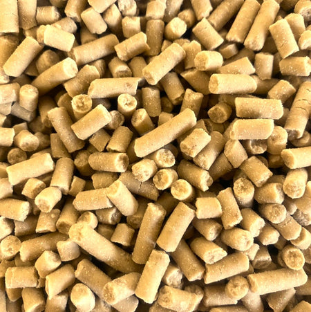 Standard Suet Pellets with Mealworms