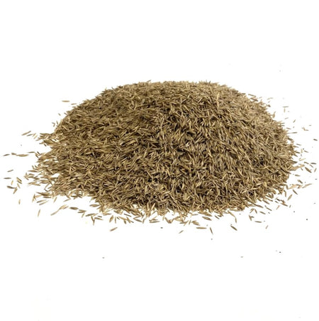Shady Area Lawn Seed (HM5)