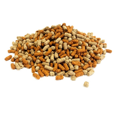 Mixed Variety Pond Sticks and Pellets