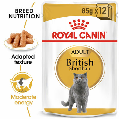 ROYAL CANIN British Shorthair Adult In Gravy Wet Cat Food