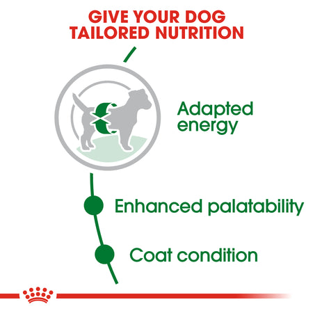 ROYAL CANIN® Mini Adult Dry Dog Food
