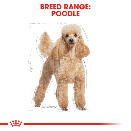 ROYAL CANIN® Poodle Adult Dry Dog Food