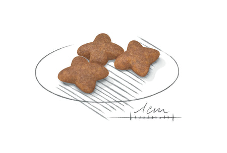 ROYAL CANIN® Mini Adult Dry Dog Food