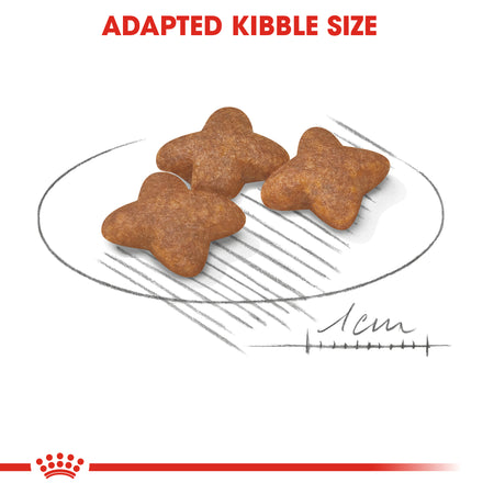 ROYAL CANIN® Mini Adult Dry Dog Food