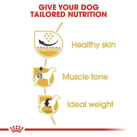 ROYAL CANIN® Pug Adult Dry Dog Food