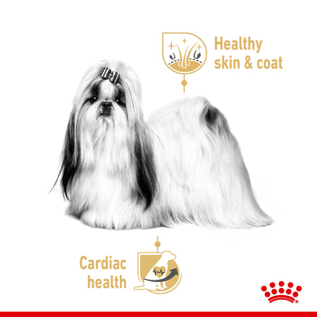ROYAL CANIN® Shih Tzu Adult in Loaf Wet Dog Food