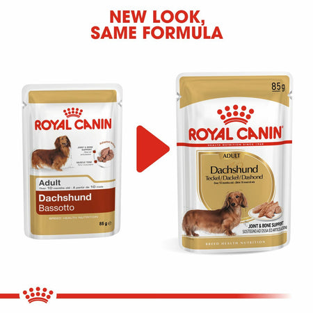 ROYAL CANIN Dachshund Adult Wet Dog Food