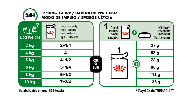 ROYAL CANIN® Mini Adult in Gravy Wet Dog Food