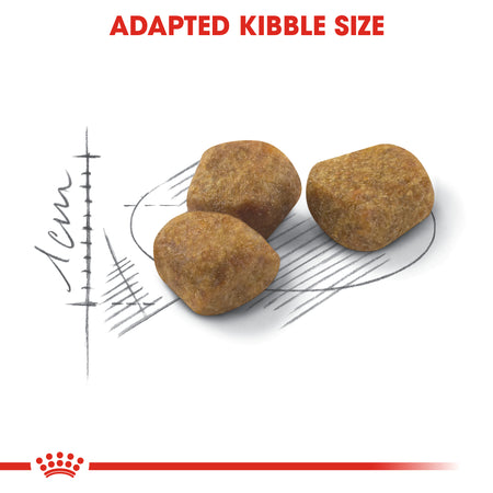 ROYAL CANIN® Regular Fit 32 Adult Dry Cat Food