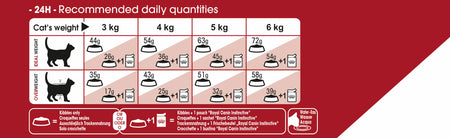ROYAL CANIN® Regular Fit 32 Adult Dry Cat Food