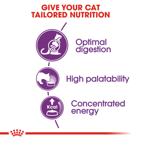 ROYAL CANIN® Sensible 33 Adult Dry Cat Food