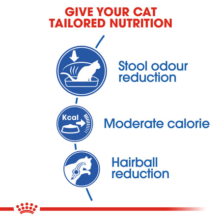 ROYAL CANIN® Indoor Dry Cat Food Adult Dry Cat Food