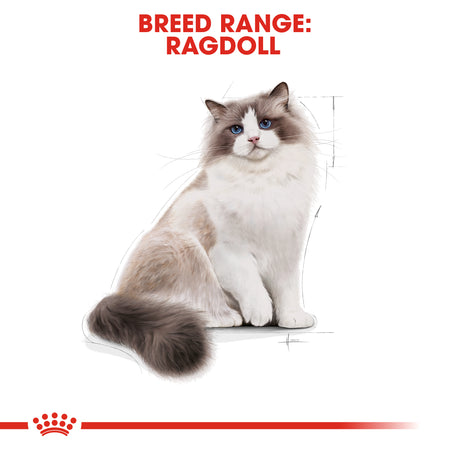ROYAL CANIN® Ragdoll Adult Dry  Cat Food