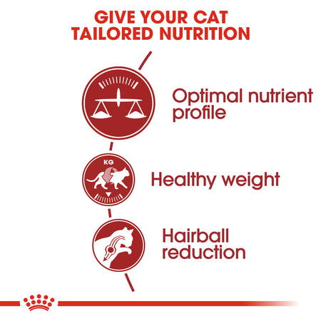 ROYAL CANIN® Regular Fit 32 Adult Dry Cat Food