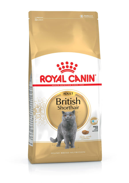 ROYAL CANIN® British Shorthair Adult Dry Cat Food
