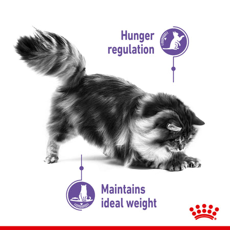 Royal Canin Appetite Control Care Dry Cat Food
