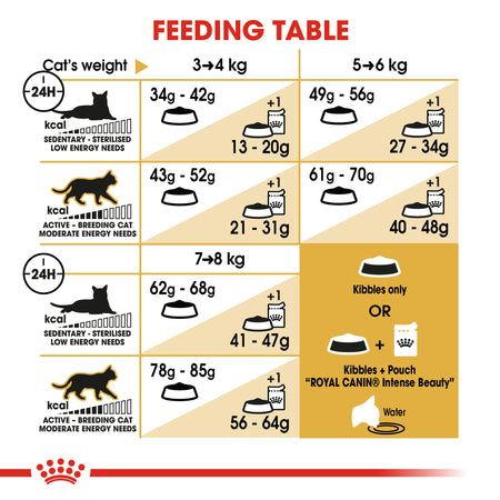 ROYAL CANIN® Ragdoll Adult Dry  Cat Food