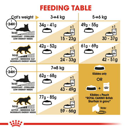 ROYAL CANIN® British Shorthair Adult Dry Cat Food