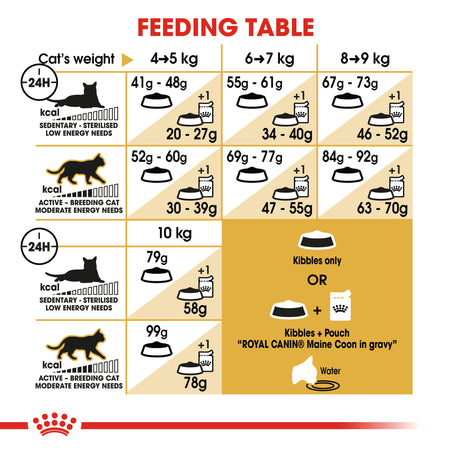 ROYAL CANIN® Maine Coon Adult Dry Cat Food