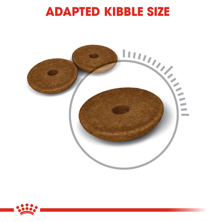 ROYAL CANIN® Digestive Care Adult Dry Cat Food