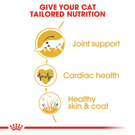 ROYAL CANIN® Maine Coon Adult Dry Cat Food