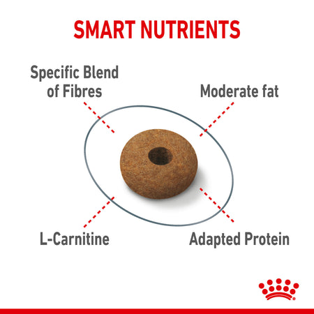 Royal Canin Appetite Control Care Dry Cat Food