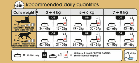 ROYAL CANIN® British Shorthair Adult Dry Cat Food