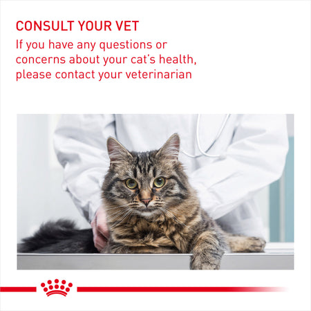 ROYAL CANIN® Digestive Care Adult Dry Cat Food